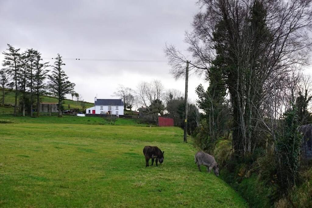 Meenadreen Cottage Donegal Town Ngoại thất bức ảnh